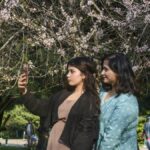 OpenAI and Anthropic want to be college students’ best friends